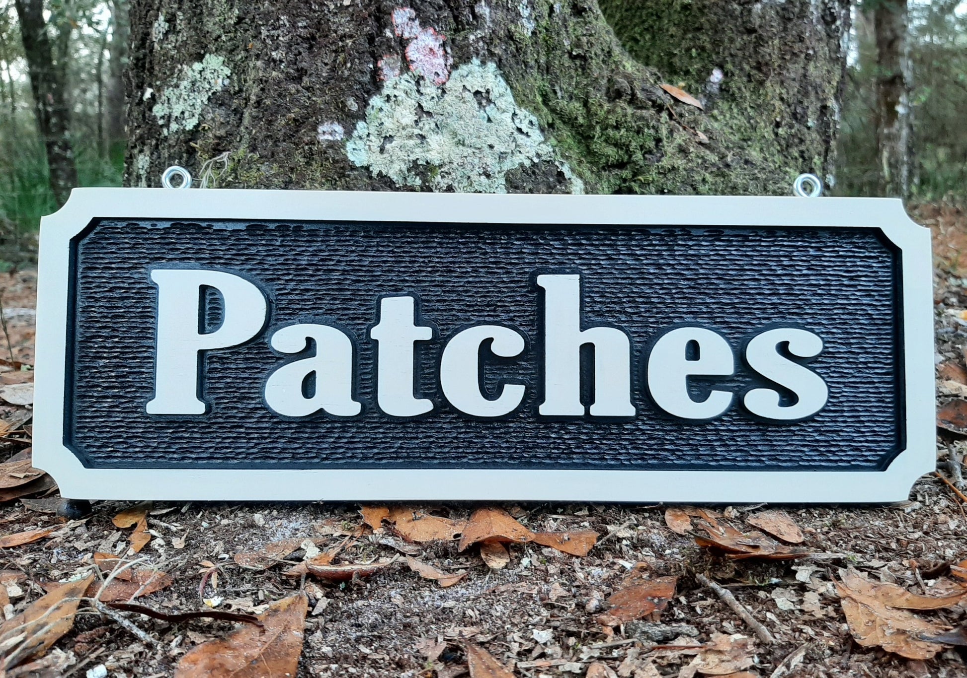high quality hand painted horse name signs