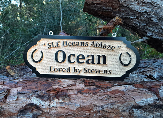 Personalized Horse Stall Sign with Horseshoes