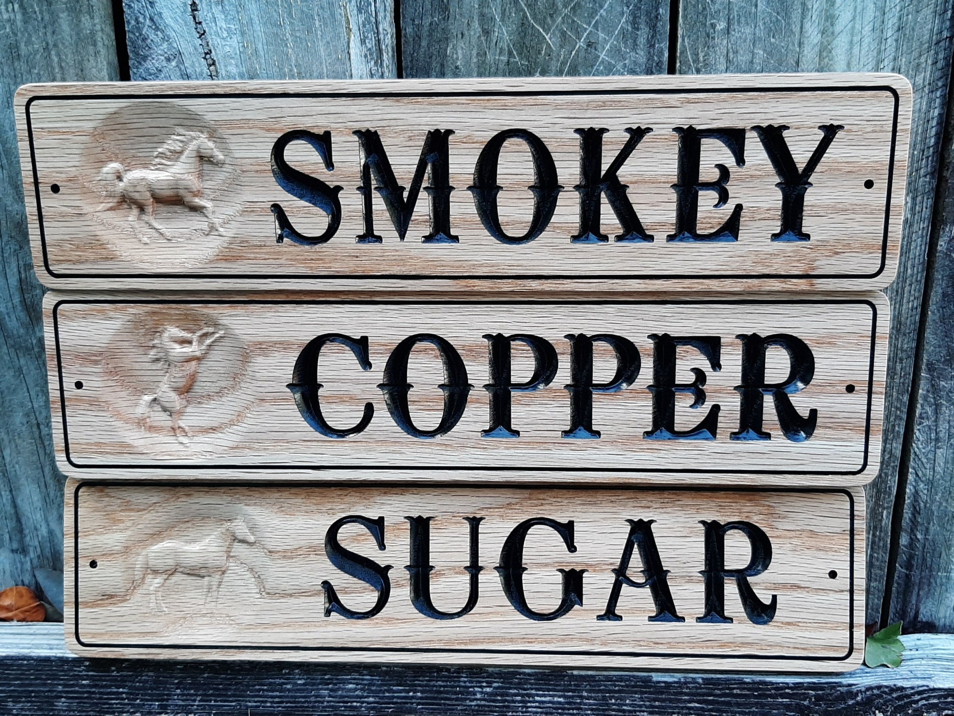Custom made matching horse stall signs