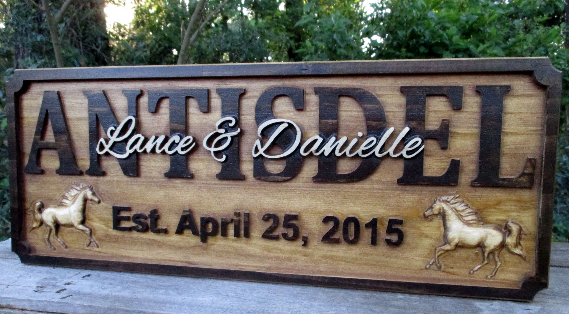 Wedding gift for equestrian couple, wood family name sign. made in the USA
